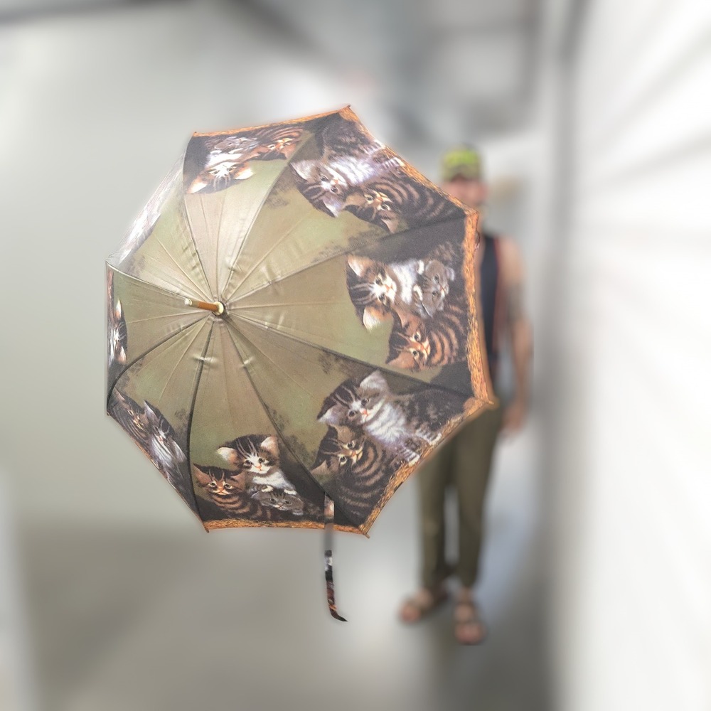 VTG Salamander 1992 Kitten Umbrella Green Cat Print Wood 90s Retro Santa Cruz CA